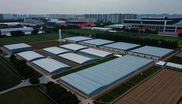 项目选型中的财税咨询关键考量因素